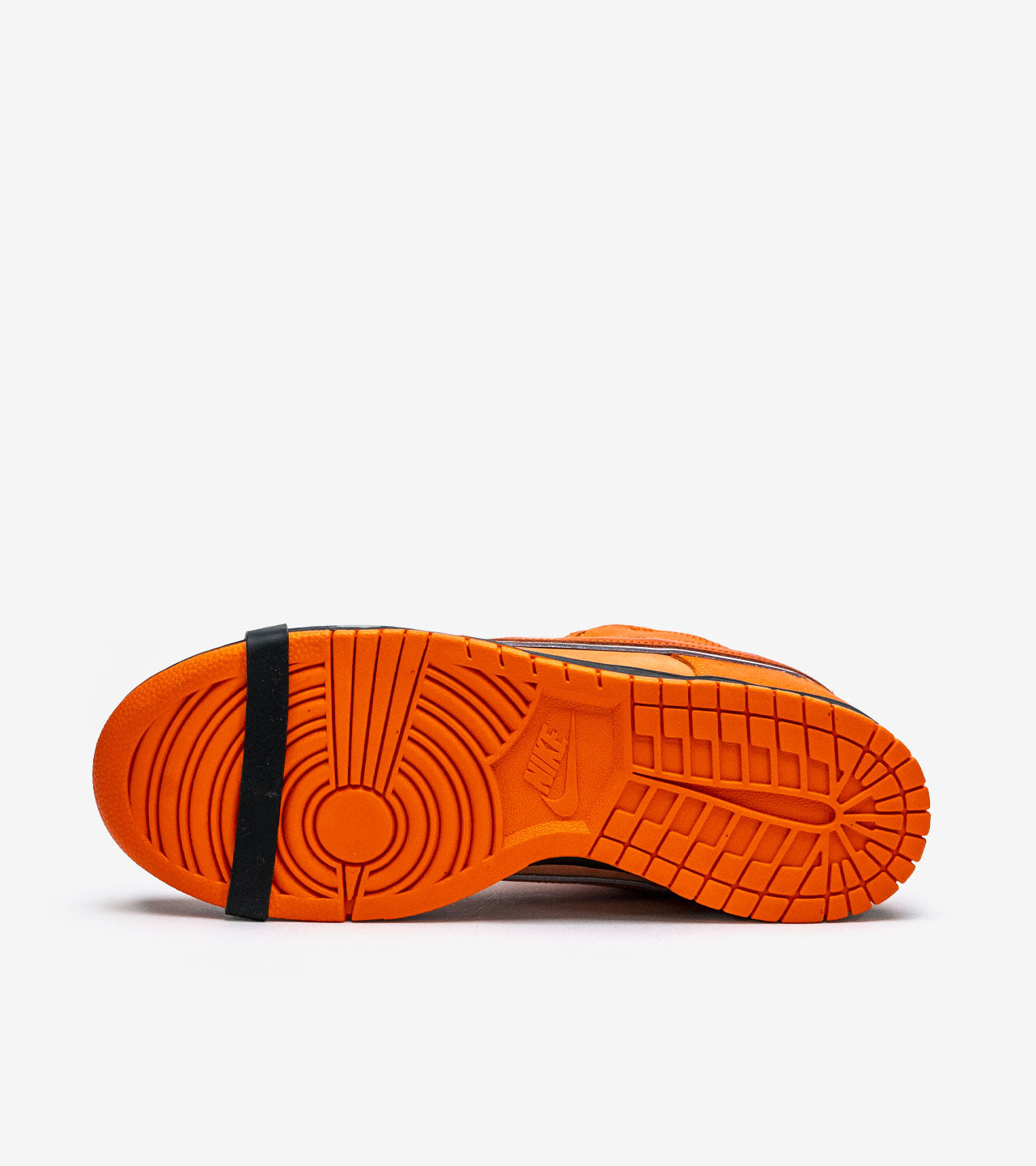 Nike SB Dunk Low Concepts Orange Lobster