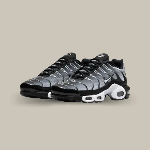 Nike Air Max Plus TN Black Grey