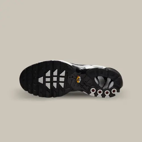 Nike Air Max Plus TN Black Grey