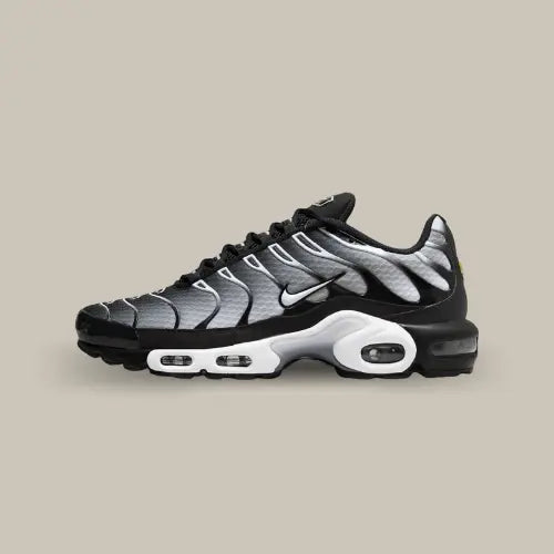 Nike Air Max Plus TN Black Grey