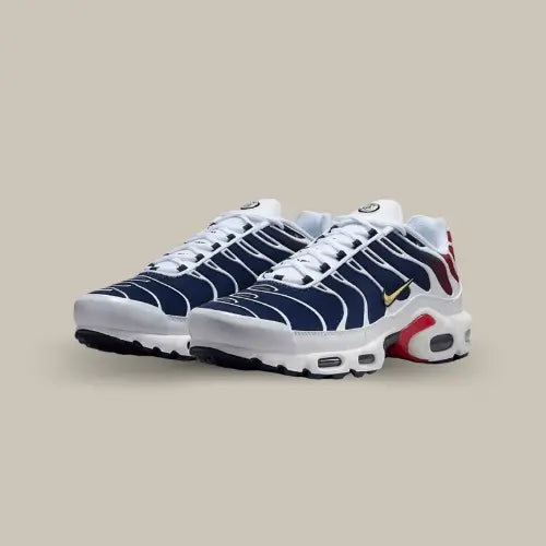 Nike Air Max Plus TN PSG