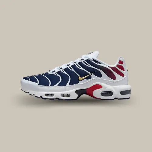 Nike Air Max Plus TN PSG