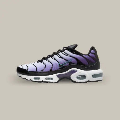 Nike Air Max Plus TN Reverse Grape