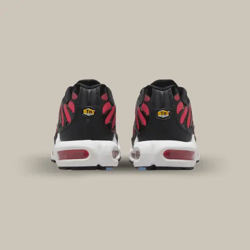 Nike Air Max Plus TN University Blue Light Crimson