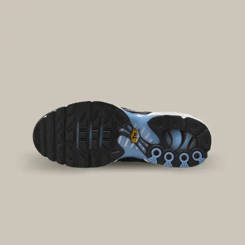 Nike Air Max Plus TN University Blue Light Crimson