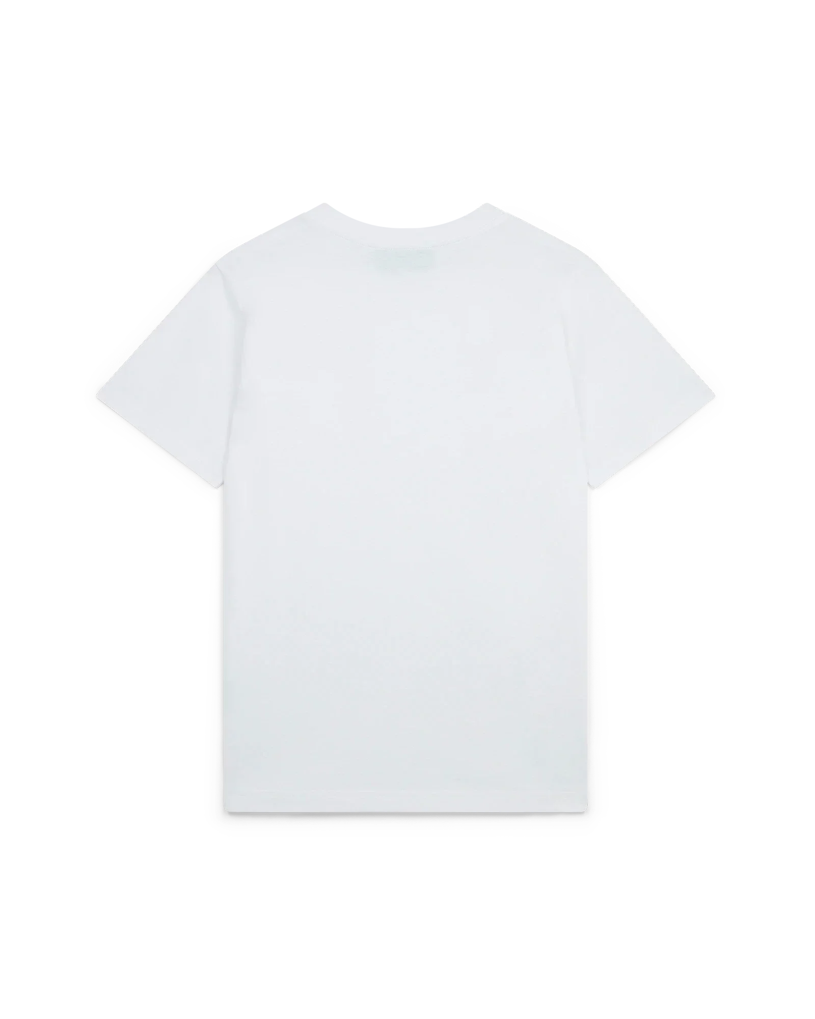 Playful Eagle T-Shirt