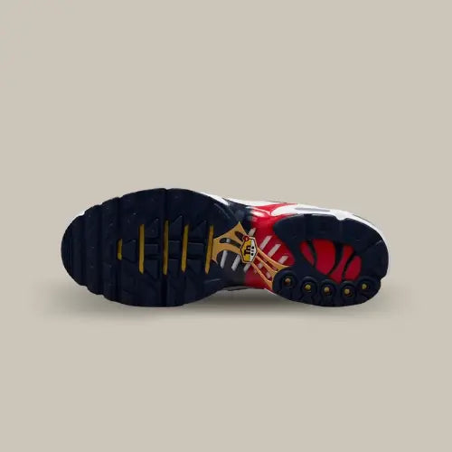 Nike Air Max Plus TN PSG