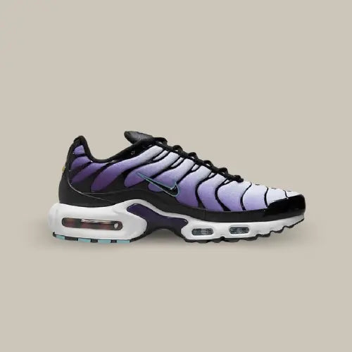 Nike Air Max Plus TN Reverse Grape